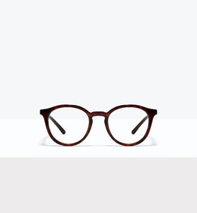 Tortoise--front_image