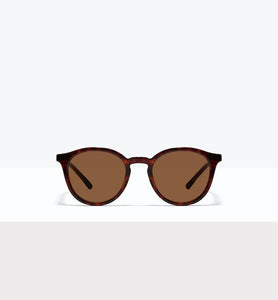 Tortoise--front_image_sun
