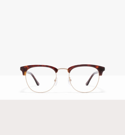 Tortoise--front_image