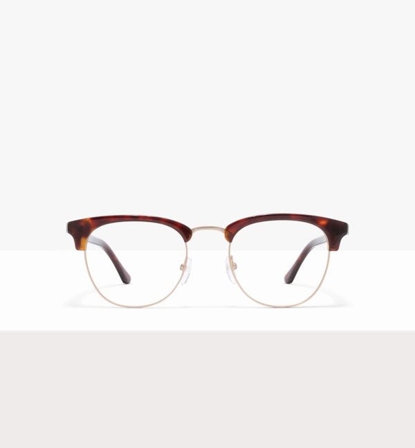 Tortoise--front_image