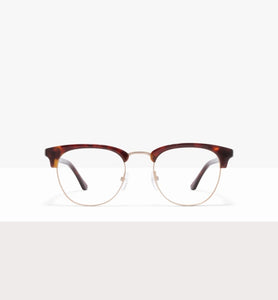Tortoise--front_image