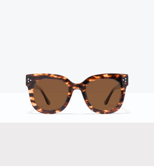 Apricot Tort--front_image_sun