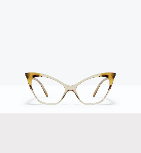 Golden Tort--front_image