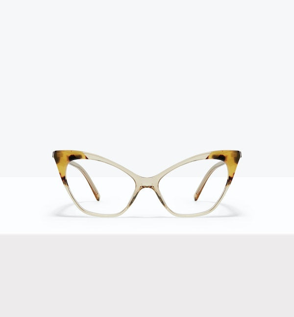 Golden Tort--front_image