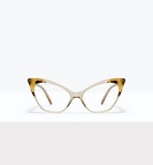 Golden Tort--front_image
