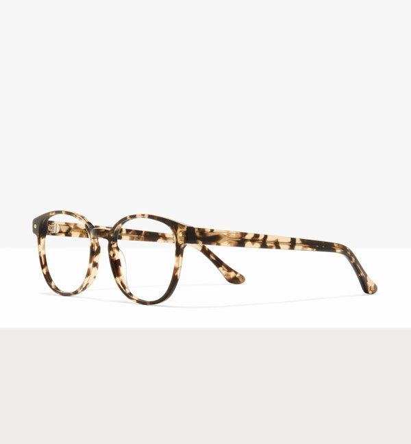 Léopard--image angulaire