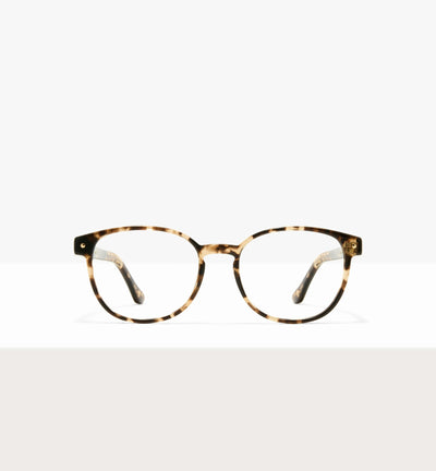 Leopard--front_image