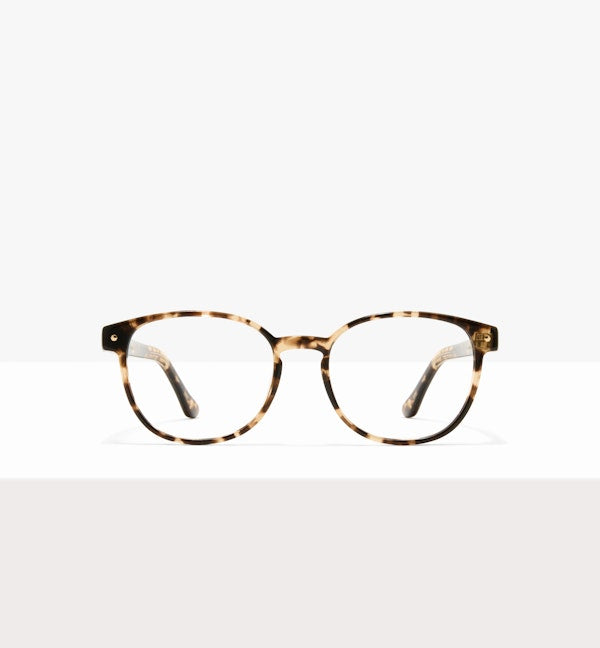 Léopard-avant_image