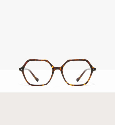 Brown Tort--front_image