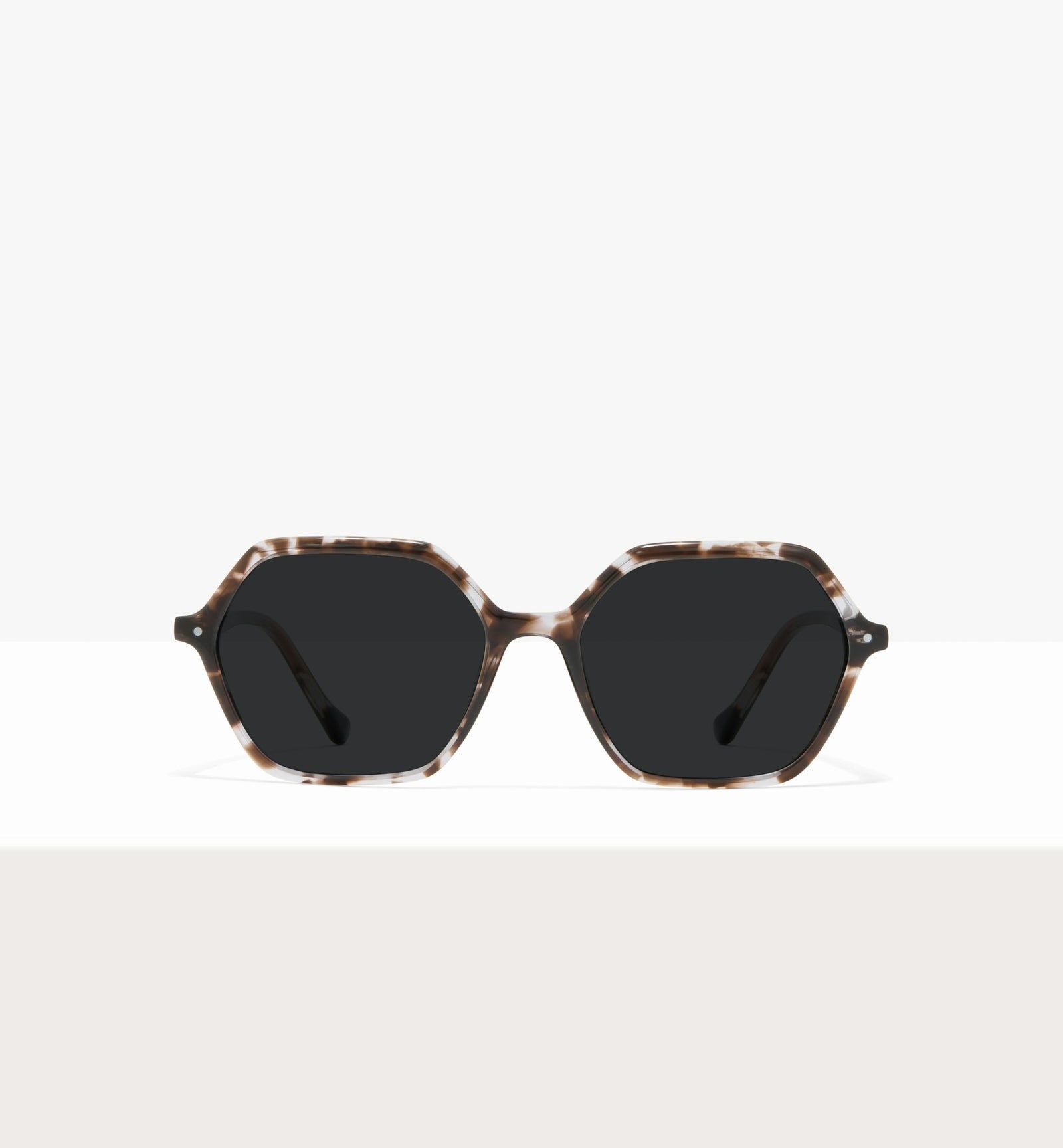 Grey Tort--front_image_sun