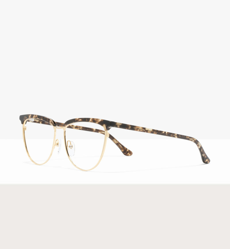 Léopard--image angulaire