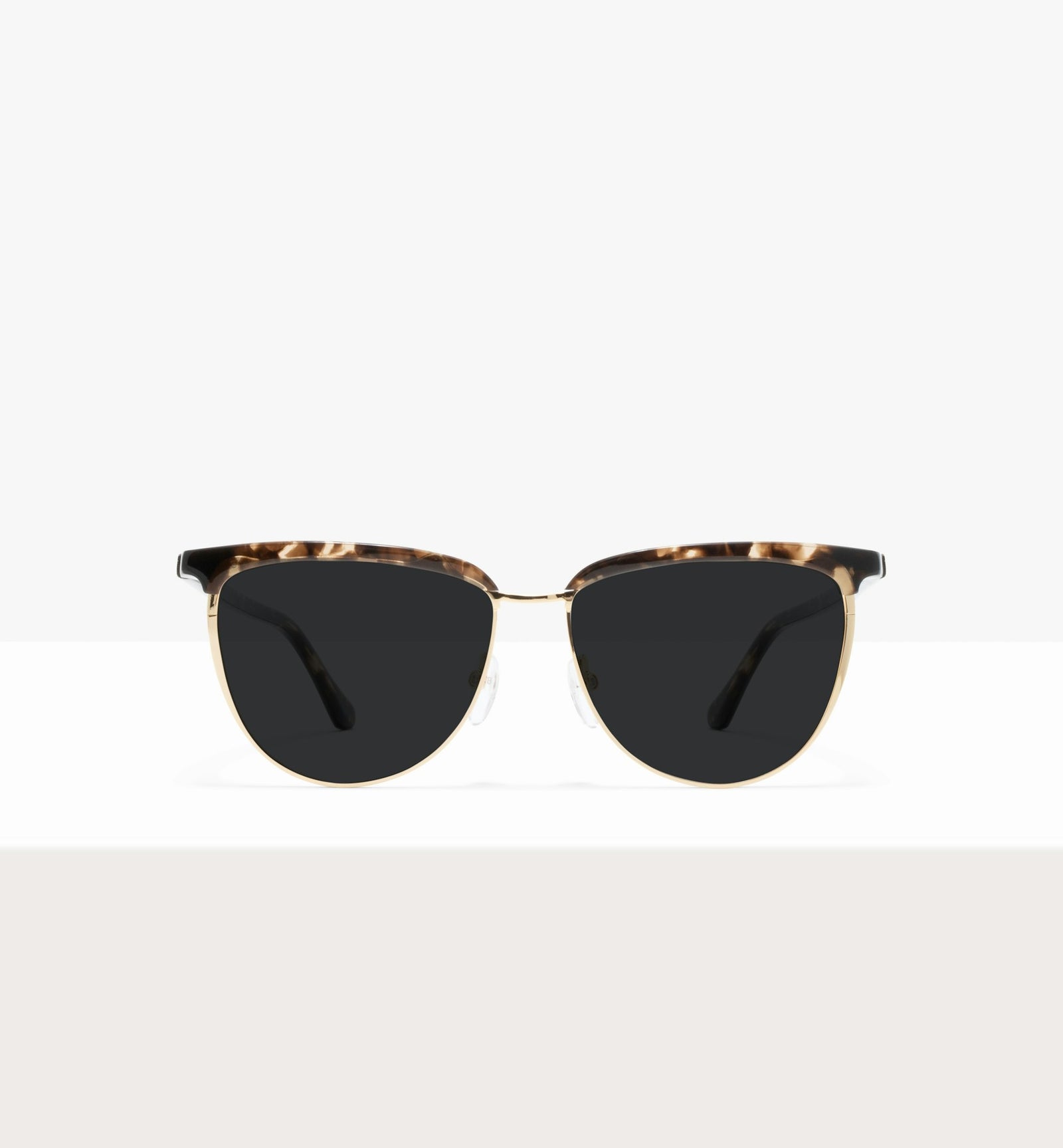 Leopard--front_image_sun