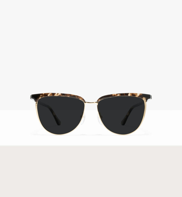 Leopard--front_image_sun