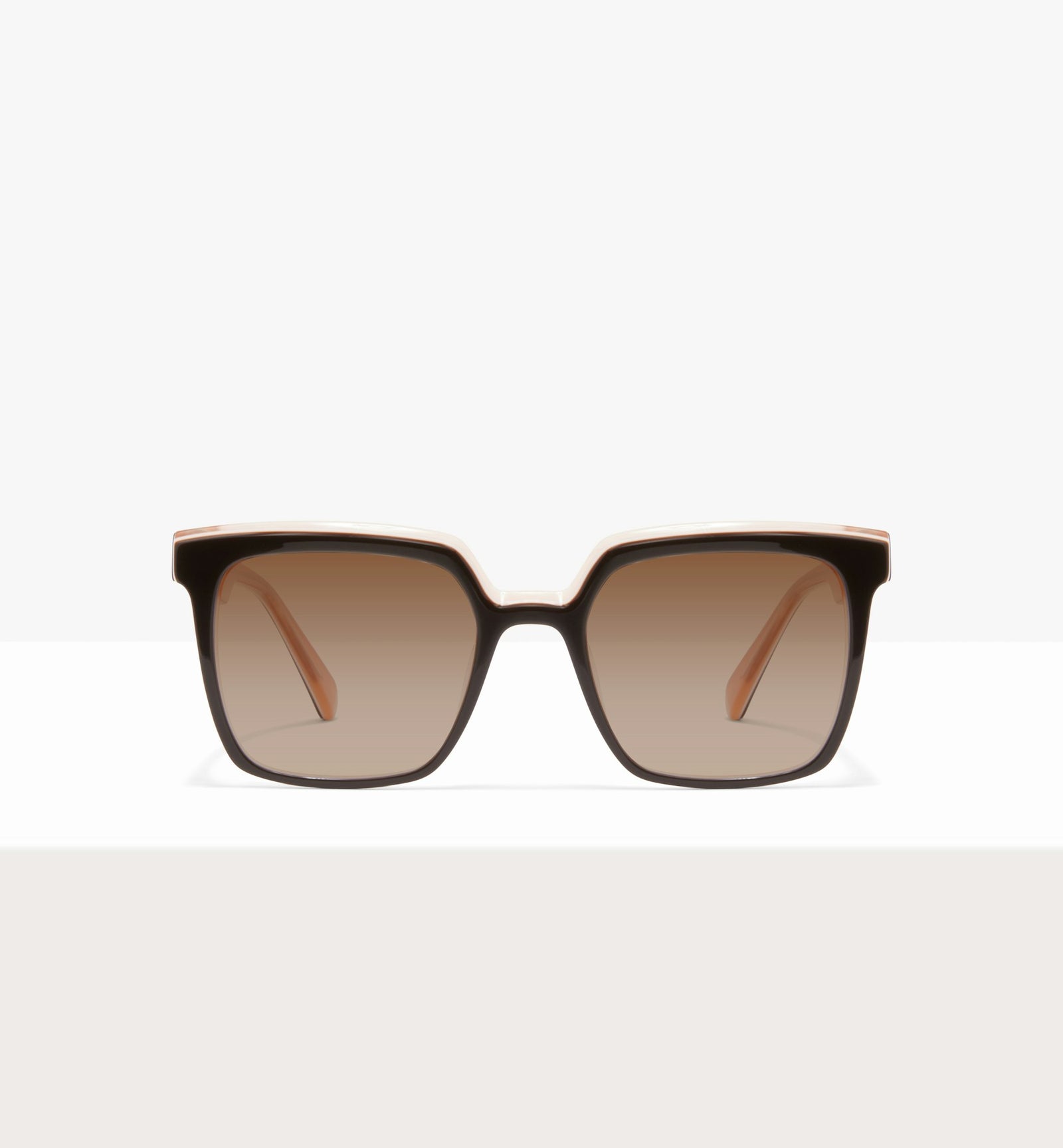 Brown White Apricot--front_image_sun