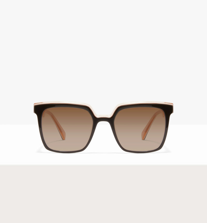 Brown White Apricot--front_image_sun