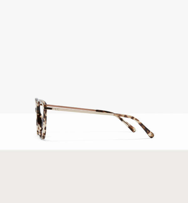 Léopard--side_image