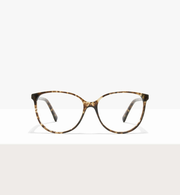 Leopard--front_image
