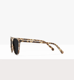 Leopard--side_image_sun