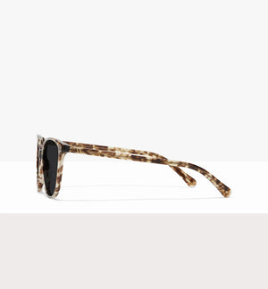 Leopard--side_image_sun