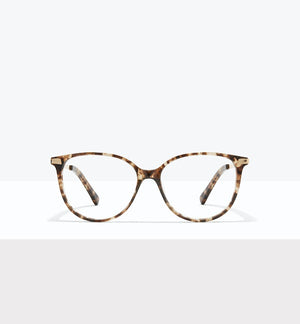 Leopard--front_image