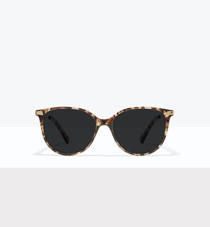 Leopard--front_image_sun
