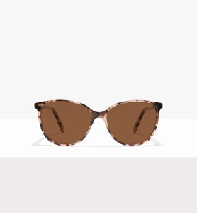 Reef Tort--front_image_sun