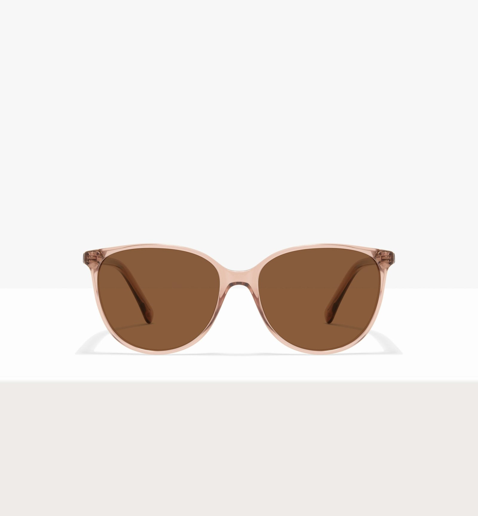 Rose--front_image_sun