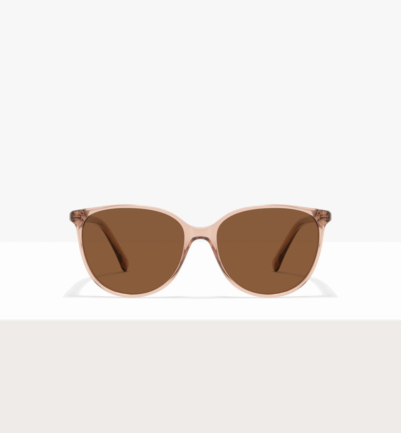 Rose--front_image_sun