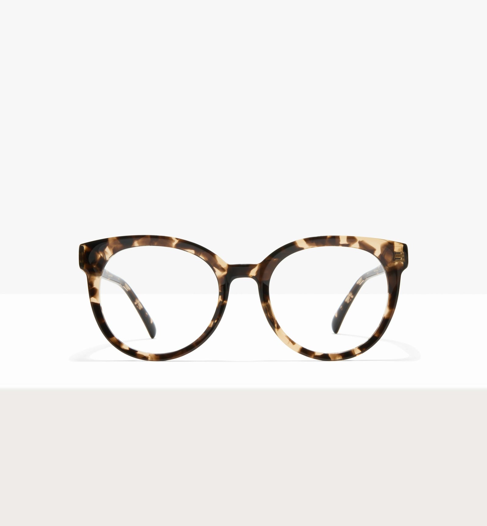 Leopard--front_image