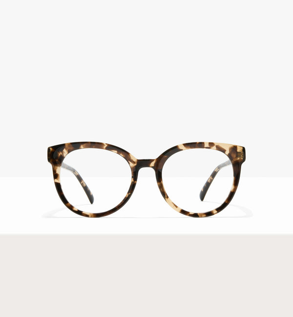 Leopard--front_image