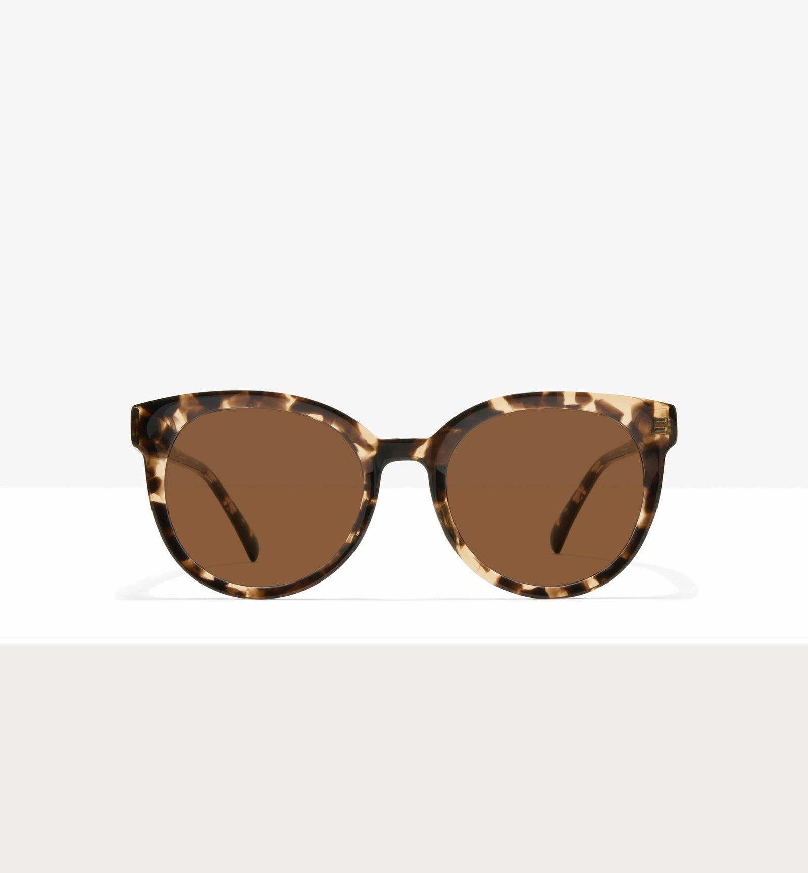 Leopard--front_image_sun