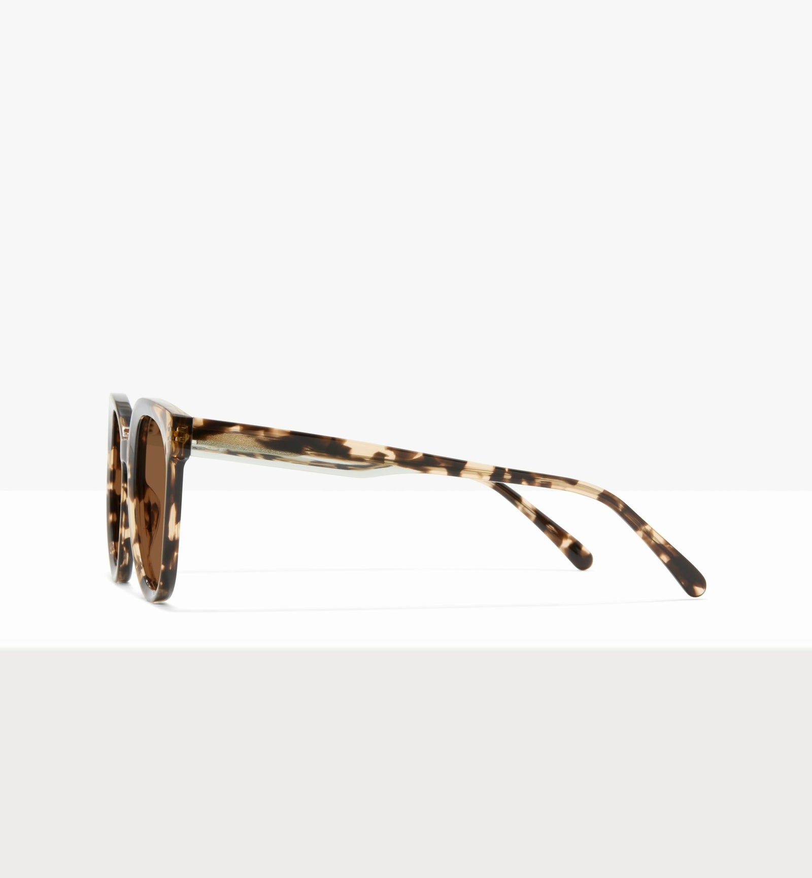 Leopard--side_image_sun