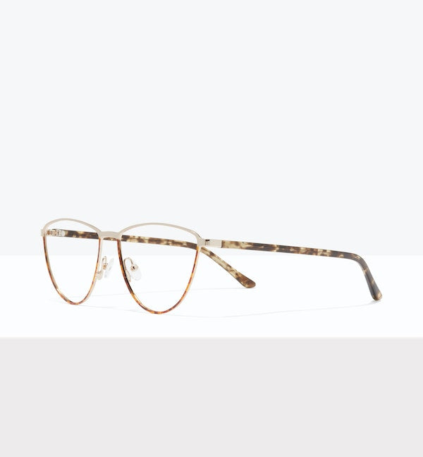 Léopard -- image en angle