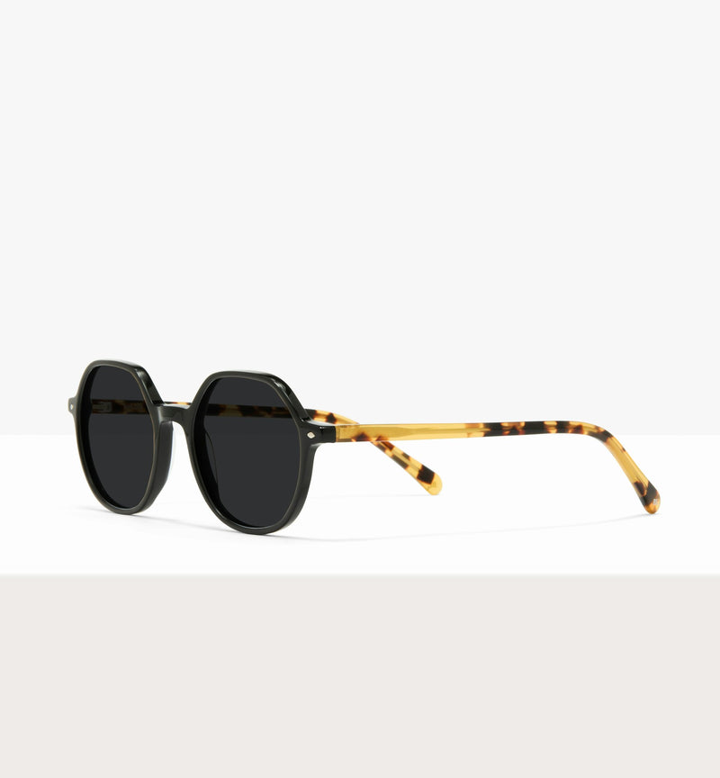 Black--angled_image_sun