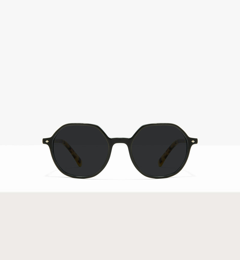 Black--front_image_sun