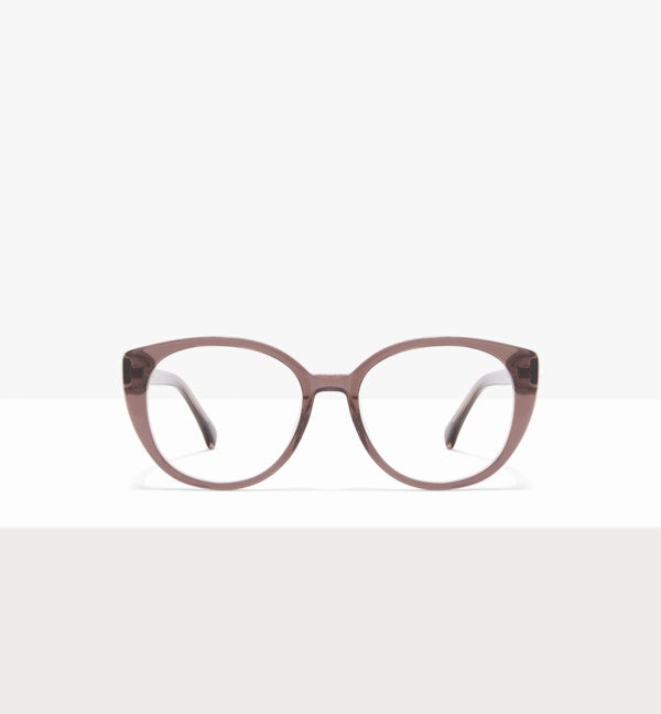 Rose pourpre--front_image