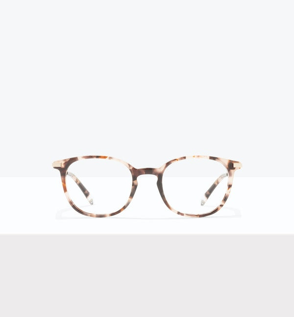 Reef Tort--front_image