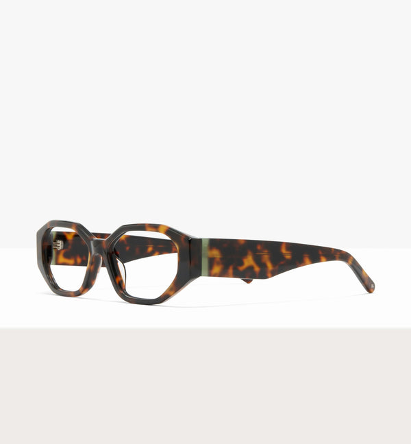 Brown Tort--angled_image