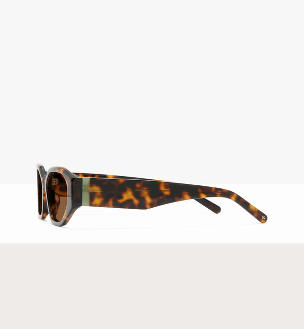 Brown Tort--side_image_sun