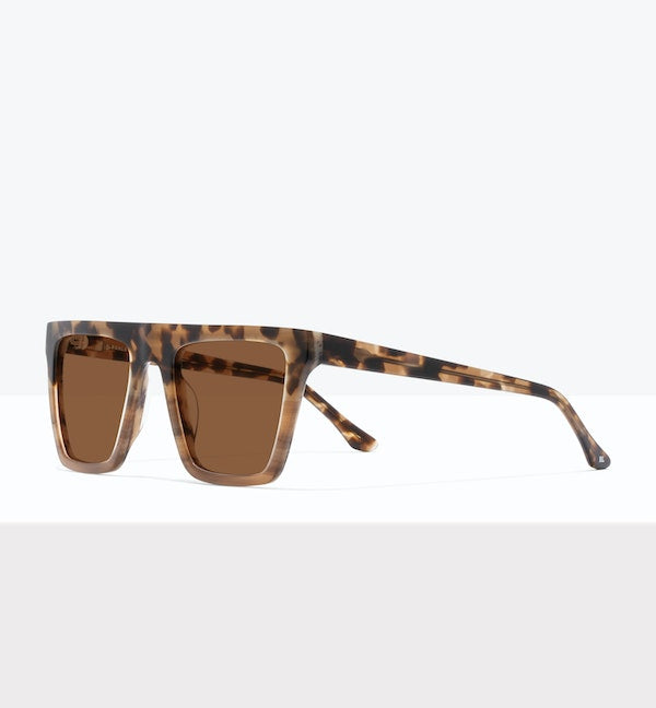 Savane bicolore tortue -- image en angle_soleil