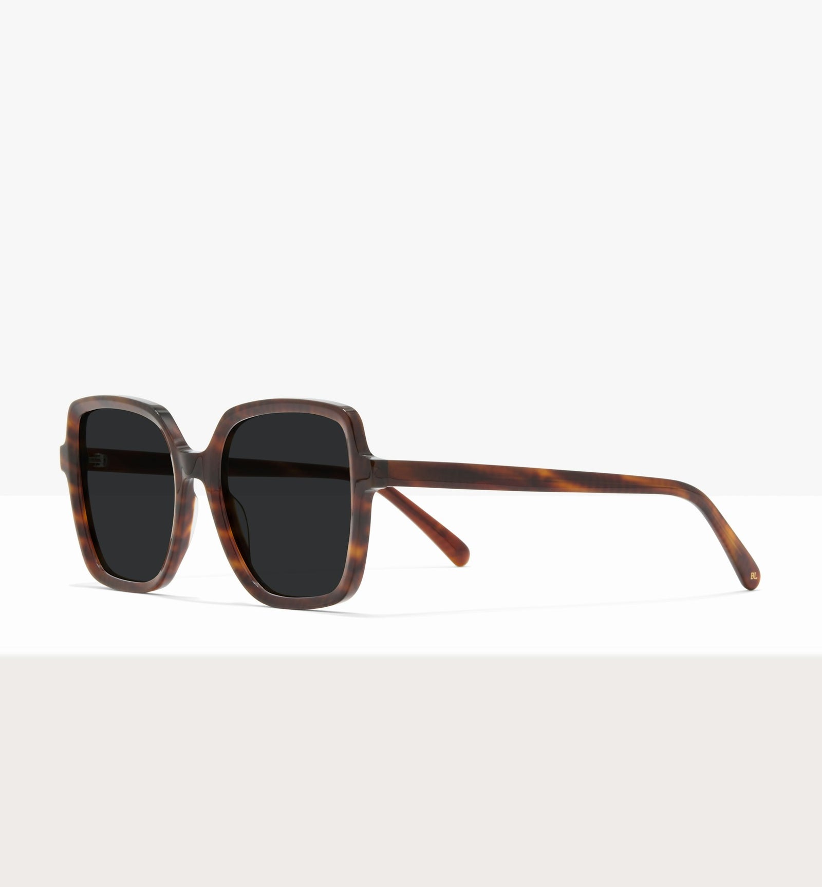 Brown Tort--angled_image_sun