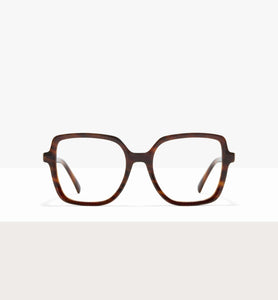 Brown Tort--front_image