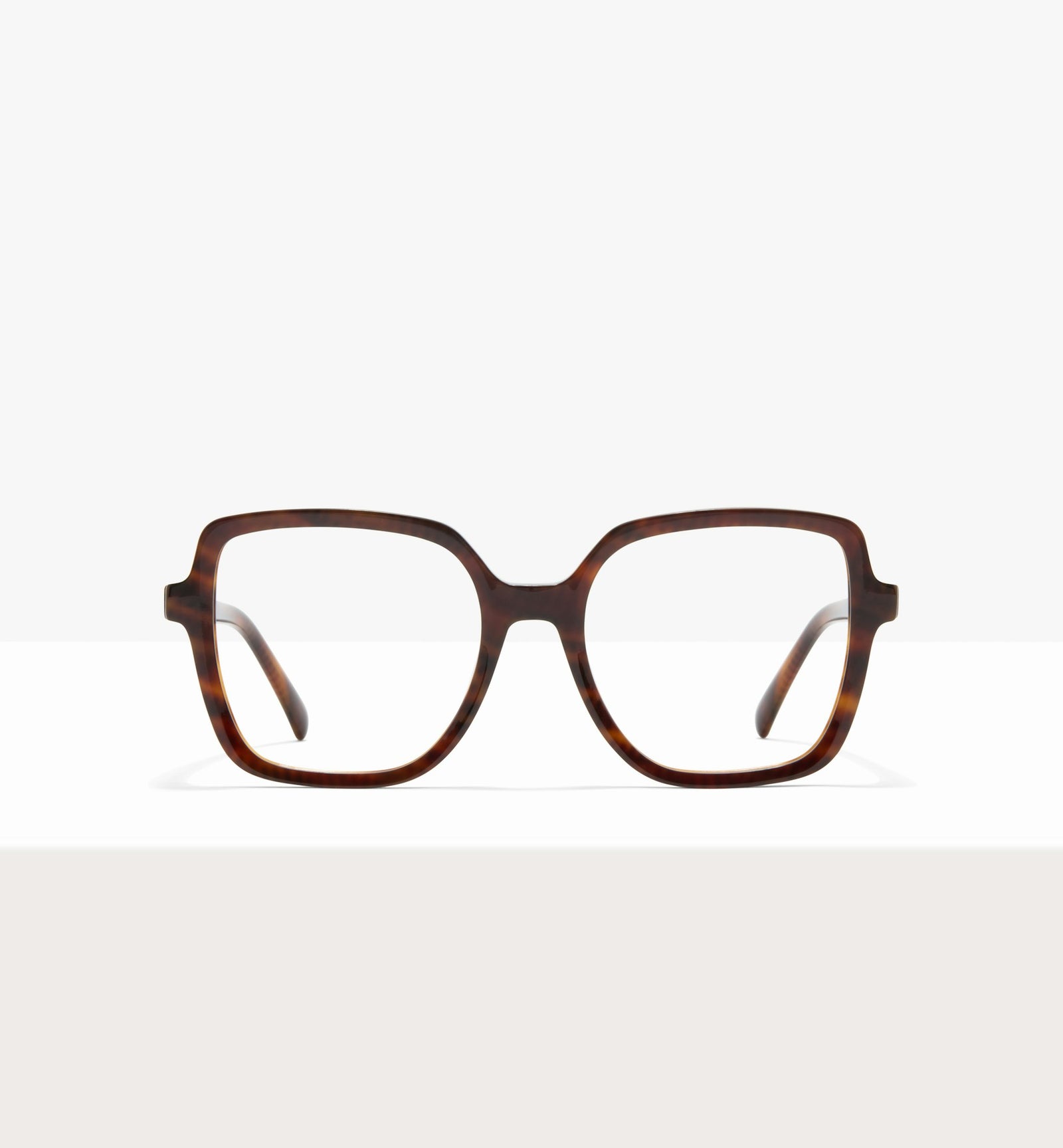 Brown Tort--front_image