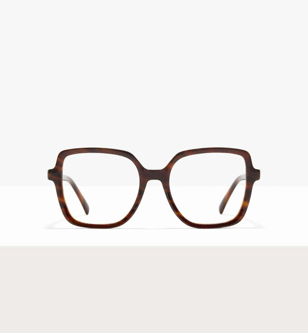 Brown Tort--front_image