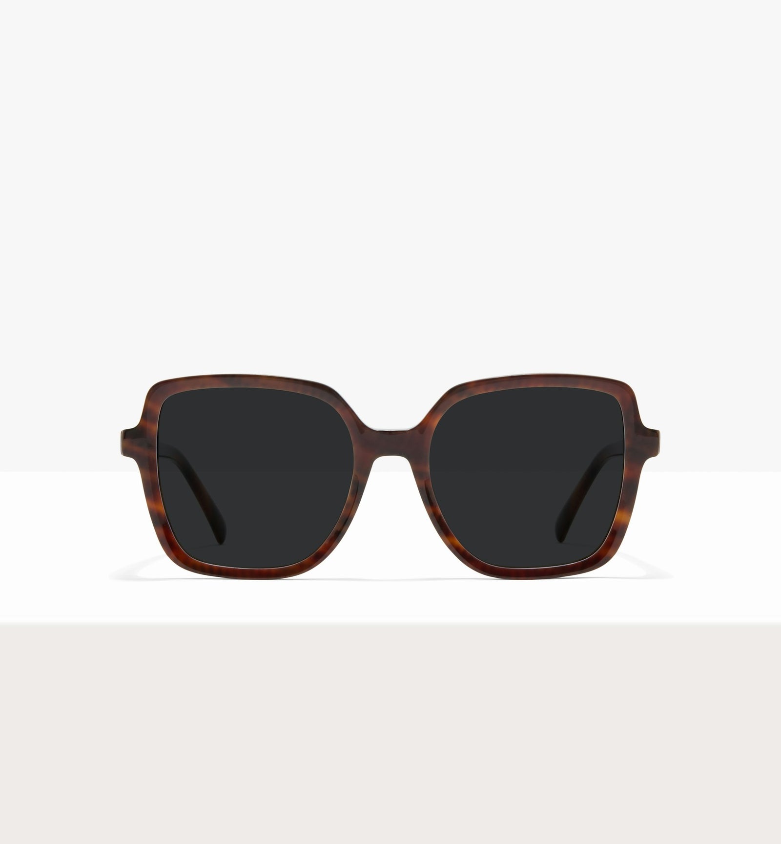 Brown Tort--front_image_sun