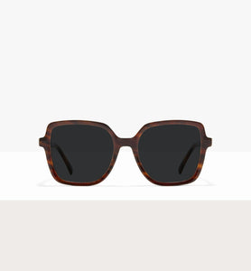 Brown Tort--front_image_sun