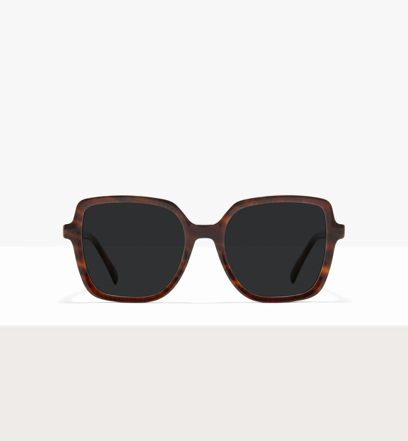 Brown Tort--front_image_sun