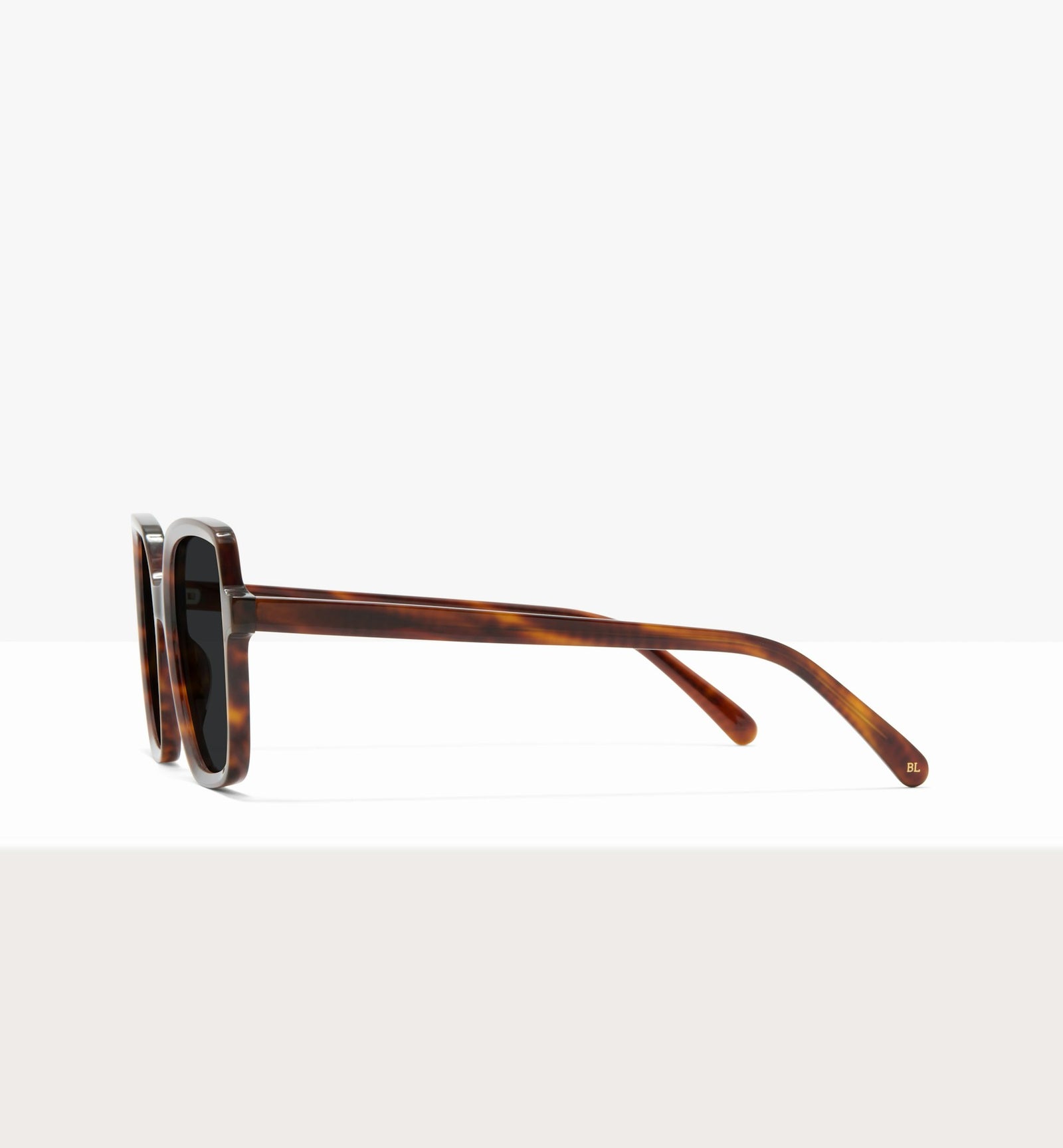 Brown Tort--side_image_sun