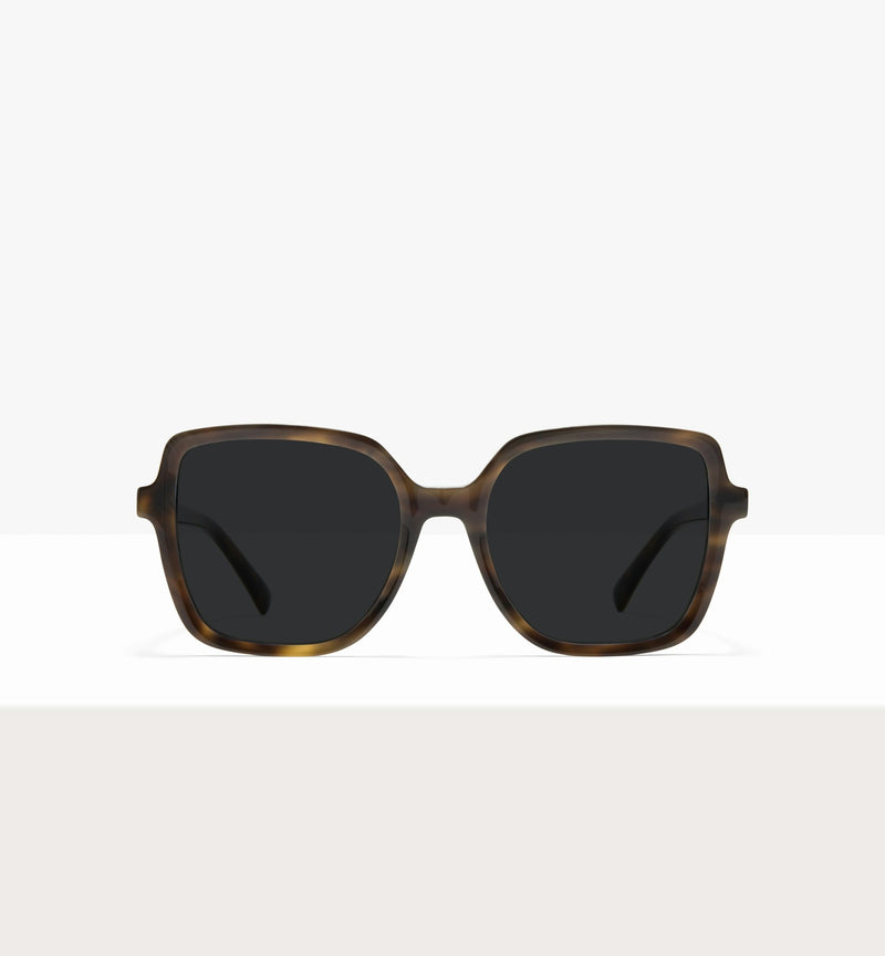 Green Tort--front_image_sun