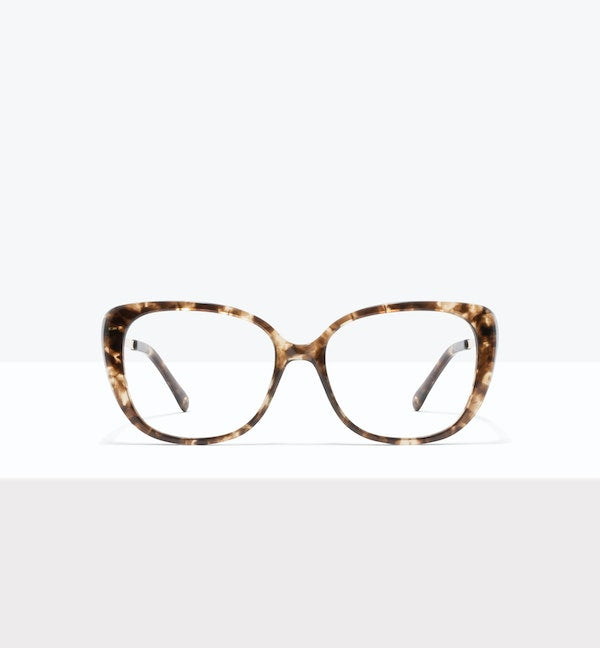 Leopard--front_image
